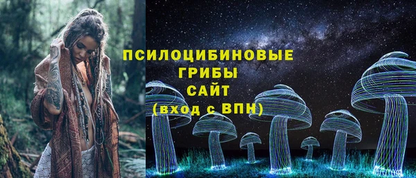 ALPHA PVP Нязепетровск