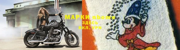 apvp Осташков