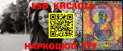 ALPHA PVP Камышлов