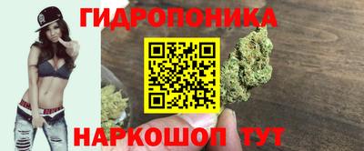jwh Кингисепп
