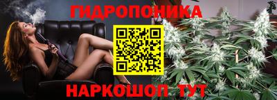 ALPHA PVP Камышлов