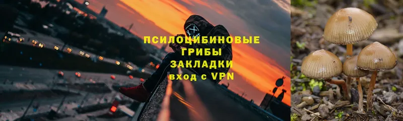 продажа наркотиков  Нефтекумск  Псилоцибиновые грибы мухоморы 