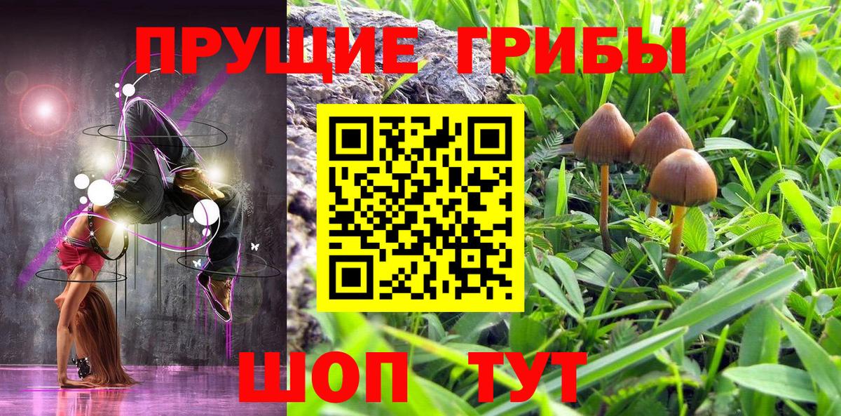 Нефтекумск  Галлюциногенные грибы Psilocybe  купить   Вход с VPN  Галлюциногенные грибы Cubensis 